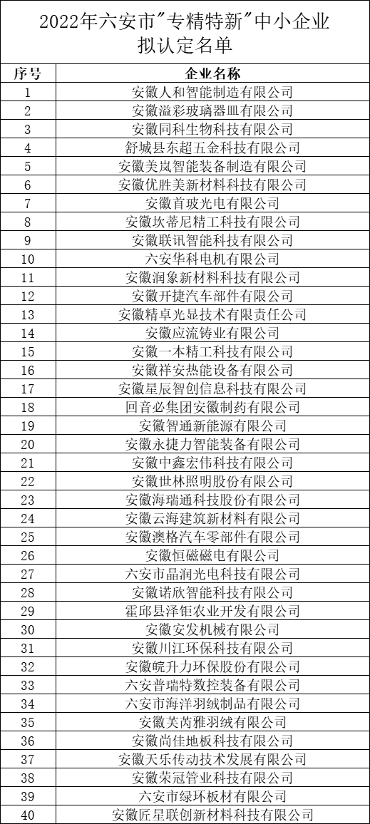 六安市专精特新中小企业认定名单