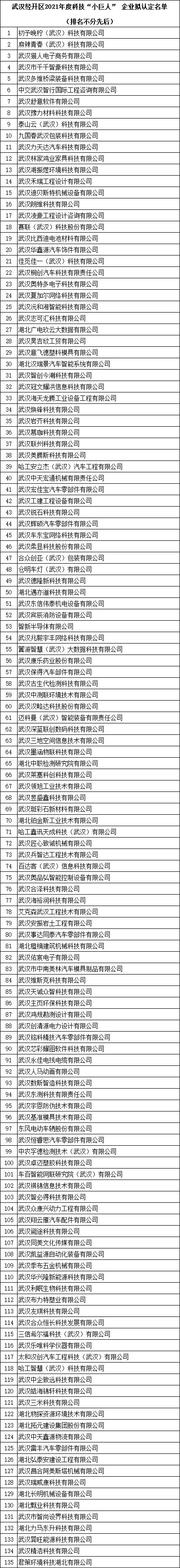 武汉市科技小巨人企业名单